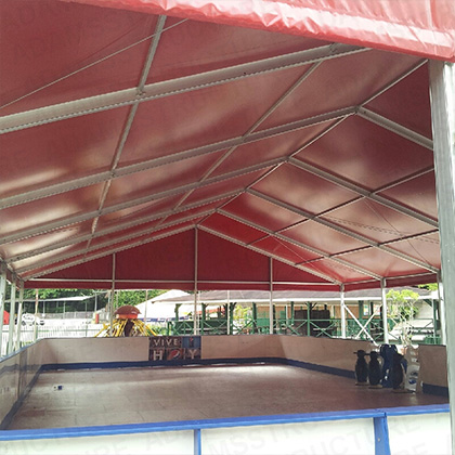 Rink